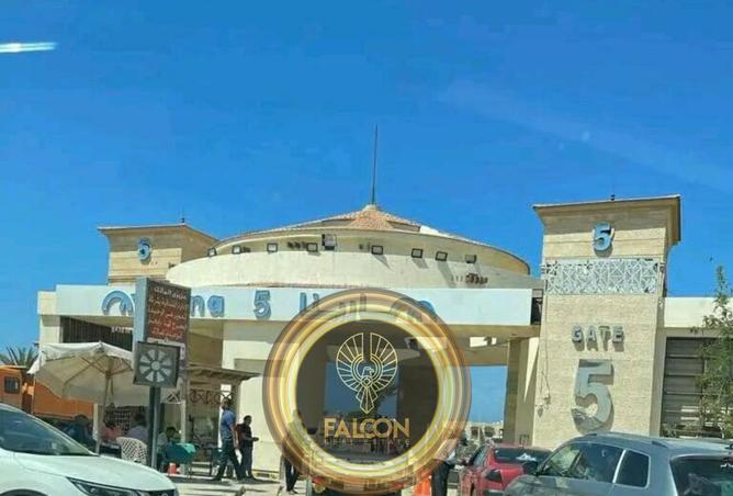 8399466 - Property Image 3