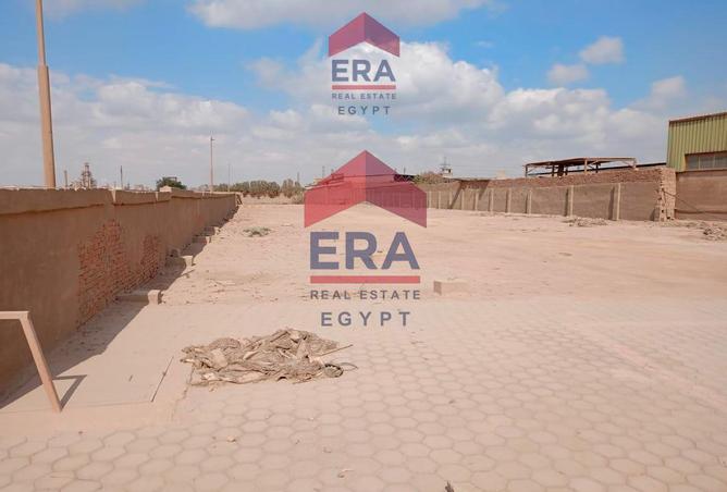 8081882 - الصورة الرئيسية للعقار