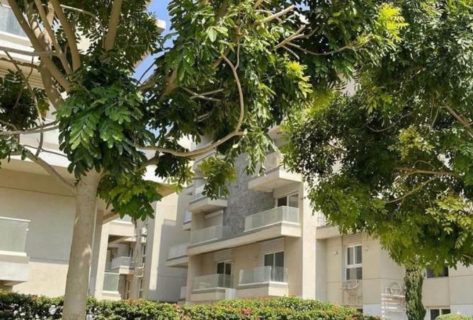8141474 - Property Image 3