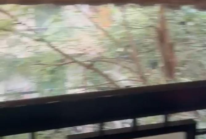 8295451 - Property Image 2