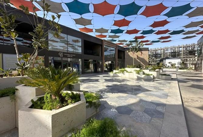 8273356 - Property Image 2