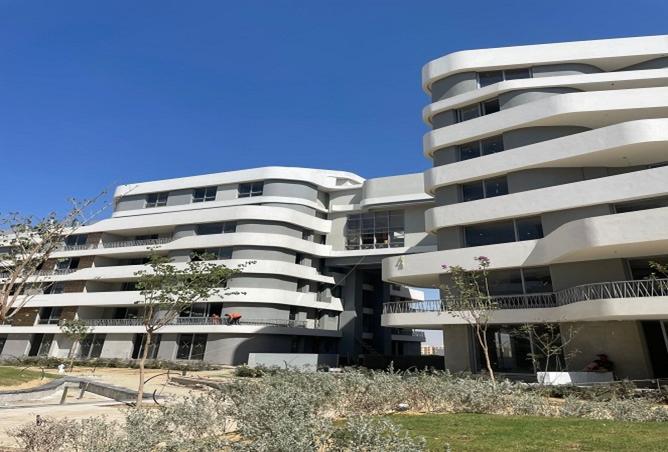 8447191 - صورة العقار 2