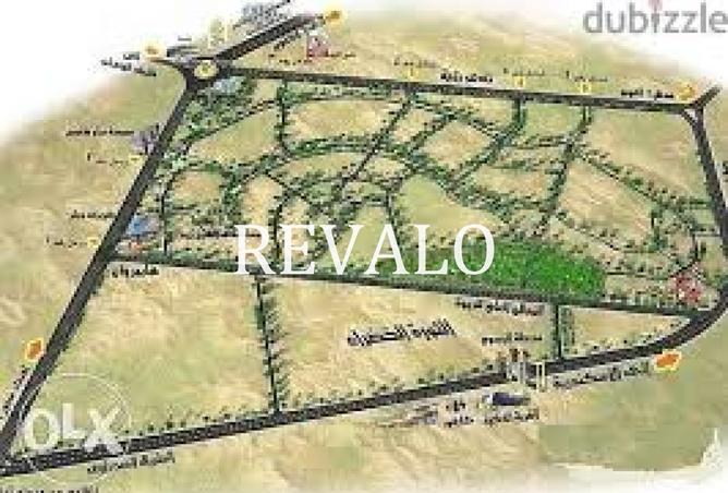 8180548 - Property Image 3