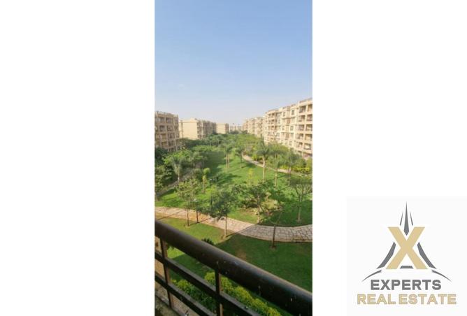 8459660 - Property Image 3