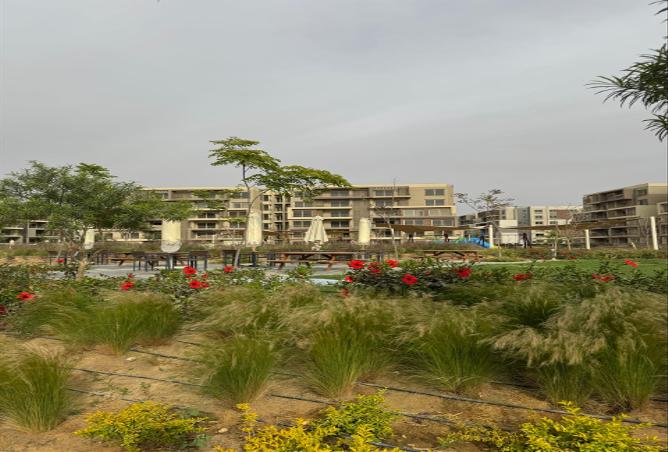 7966829 - صورة العقار 3