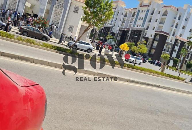 8048977 - Property Image 2