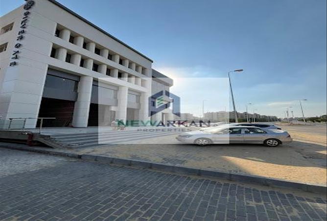 7966543 - Property Image 3
