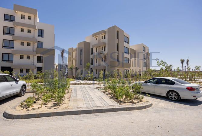 8396137 - Property Image 3