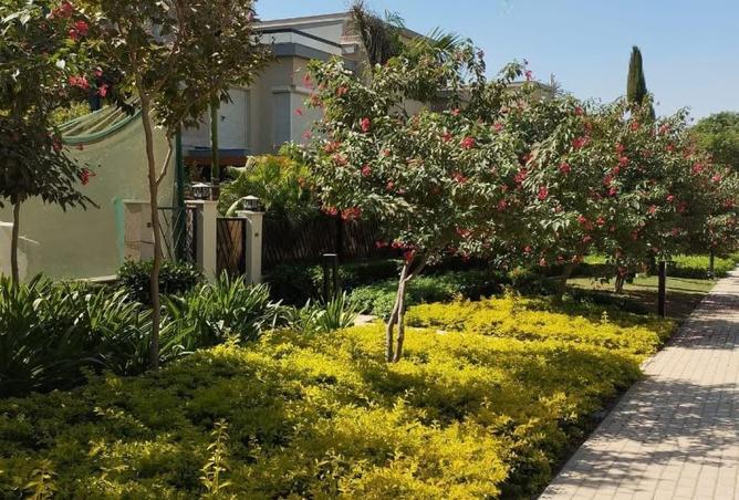 8172640 - صورة العقار 3