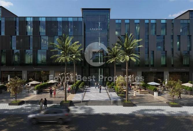 8172653 - Property Image 3