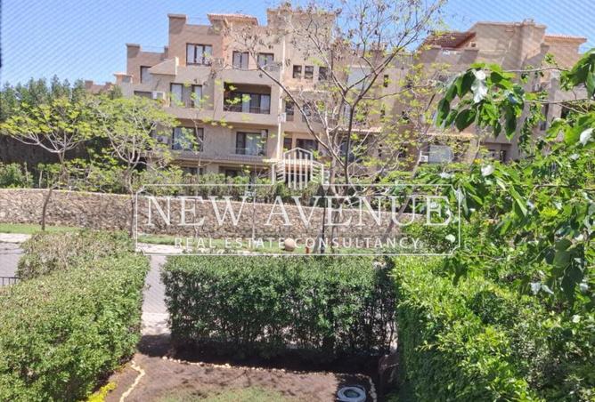 8311475 - Property Image 3