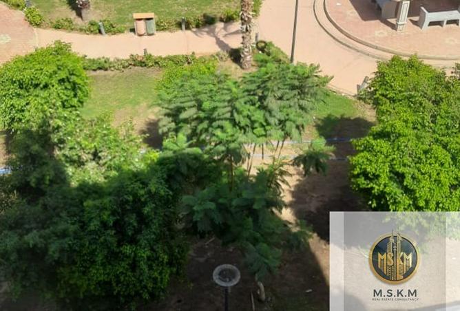 8358811 - Property Image 3