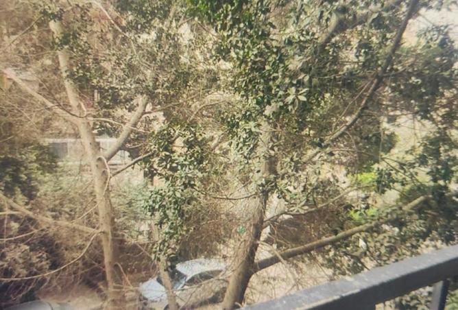 8528307 - الصورة الرئيسية للعقار