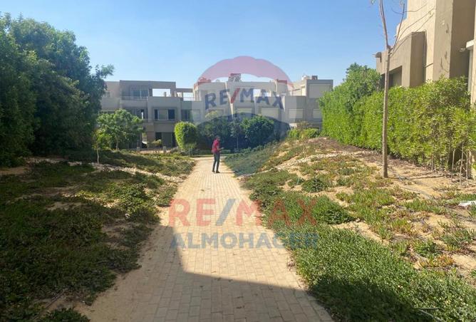 7966170 - صورة العقار 3