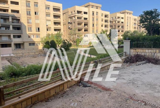 8163139 - Property Image 3