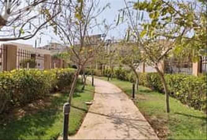 7985802 - صورة العقار 3