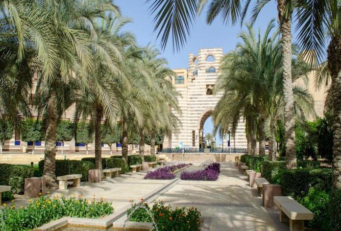 8424161 - صورة العقار 3