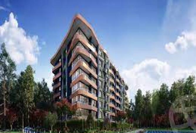 8322791 - Property Image 2