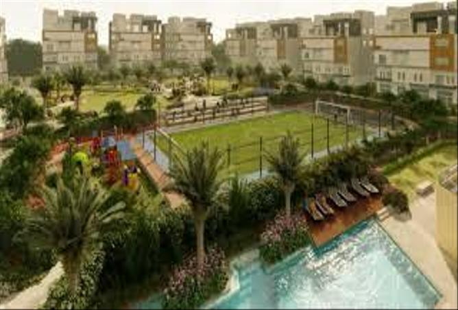 7985078 - Property Image 3