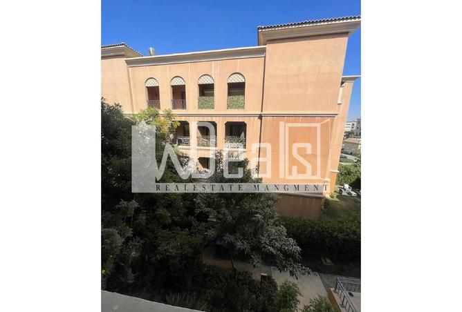 8162510 - Property Image 3