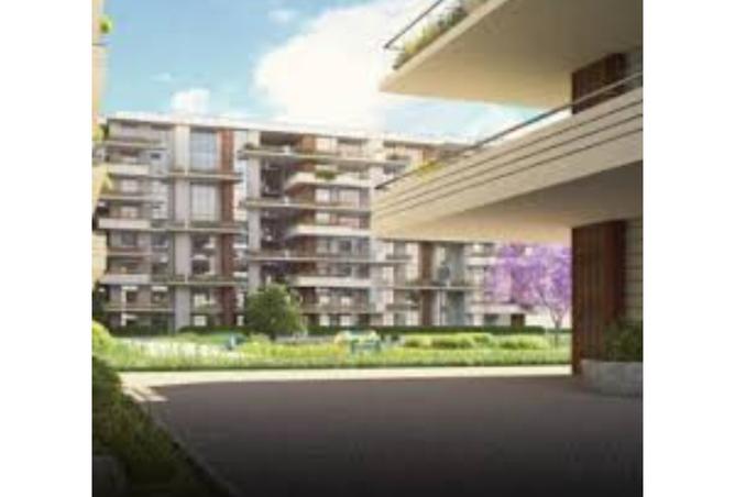 7930417 - Property Image 3