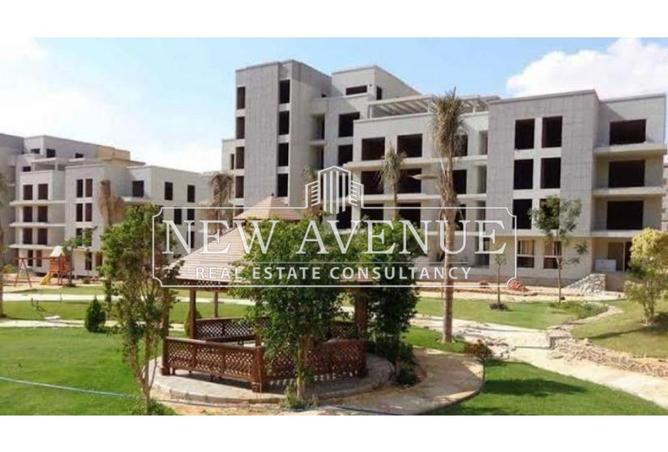 8362967 - Property Image 3