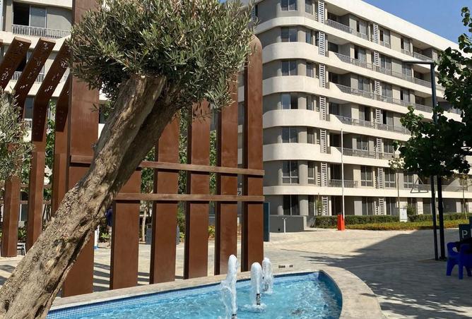 8365666 - Property Image 3