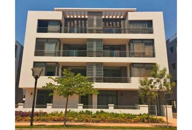 8297694 - Property Image 3