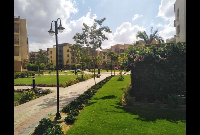 7974886 - صورة العقار 3