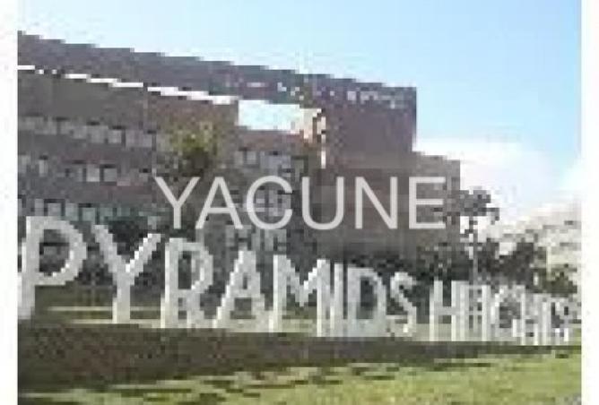 8360947 - Property Image 2