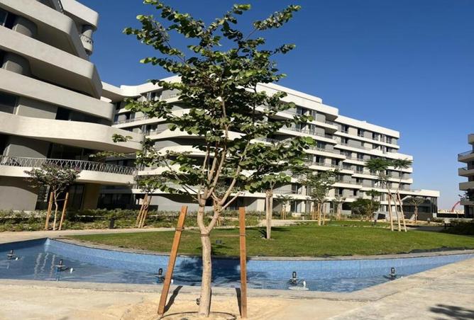 8437001 - Property Image 2