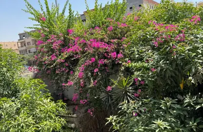 Villa - 6 Bedrooms - 7+ Bathrooms for sale in South Teseen St. - The 5th Settlement - New Cairo City - Cairo