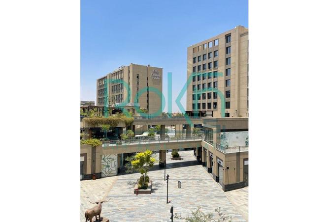 8401677 - Property Image 3