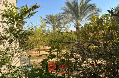قطعة أرض - استوديو للبيع في افق - طريق مصر اسكندرية الصحراوي - مدينة 6 أكتوبر - الجيزة