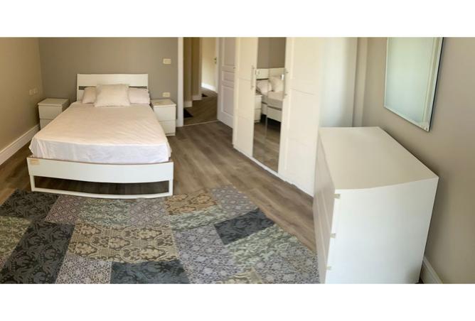 8083414 - Property Image 3