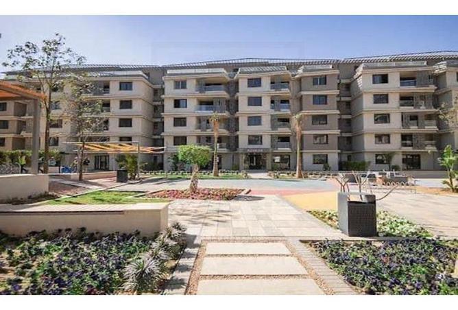 7979983 - Property Image 3