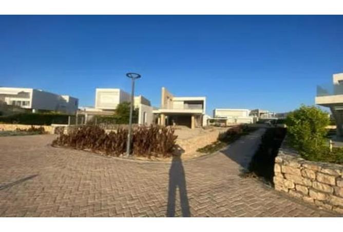 7901901 - صورة العقار 3