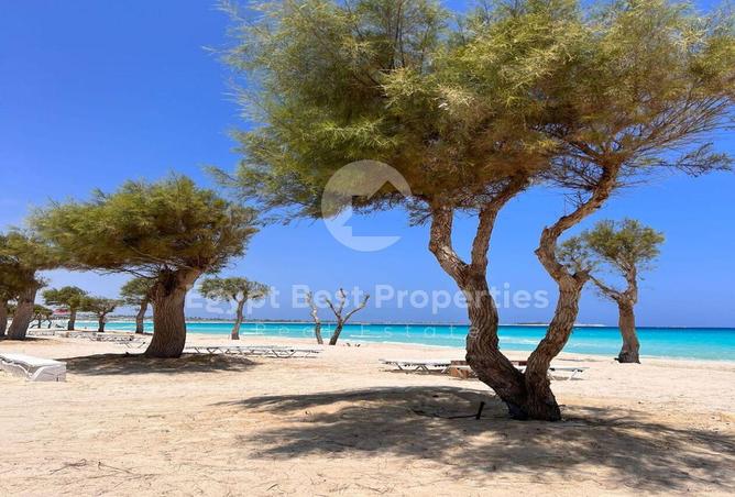 8317589 - الصورة الرئيسية للعقار