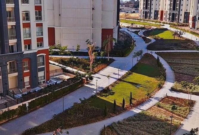 8541021 - Property Image 3