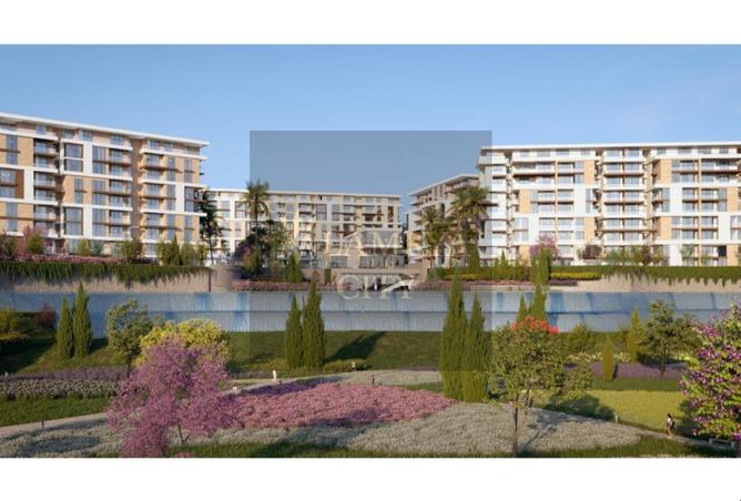 8423328 - صورة العقار 3