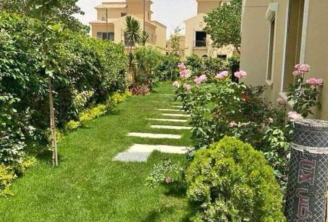 8117224 - صورة العقار 3