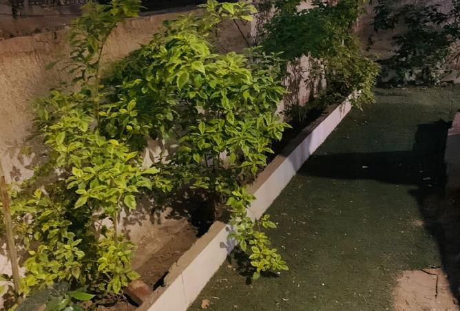 8055474 - الصورة الرئيسية للعقار