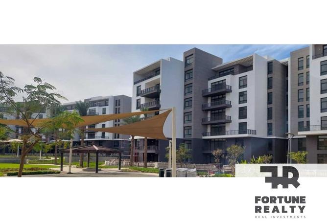 8344555 - Property Image 3