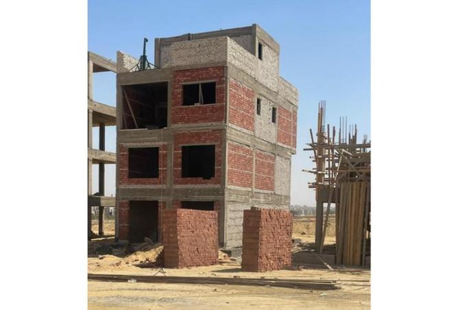 8037461 - Property Image 3