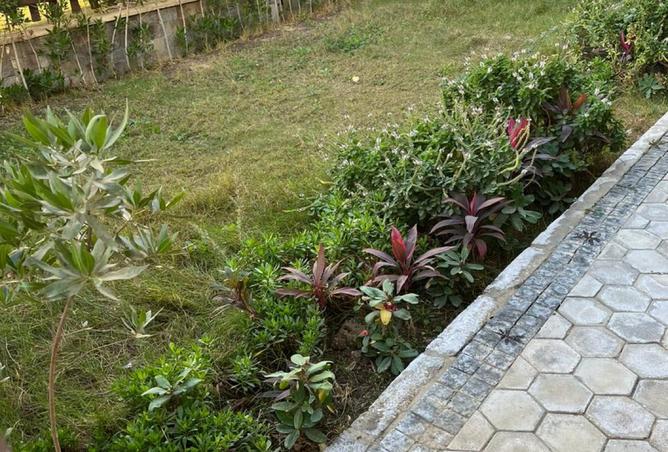 8535292 - Property Image 2