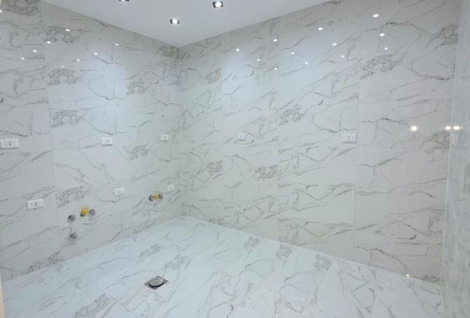 8098804 - Property Image 3