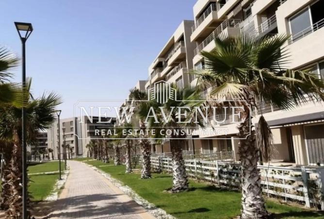 7896990 - Property Image 3