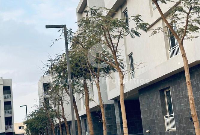 8244261 - صورة العقار 2