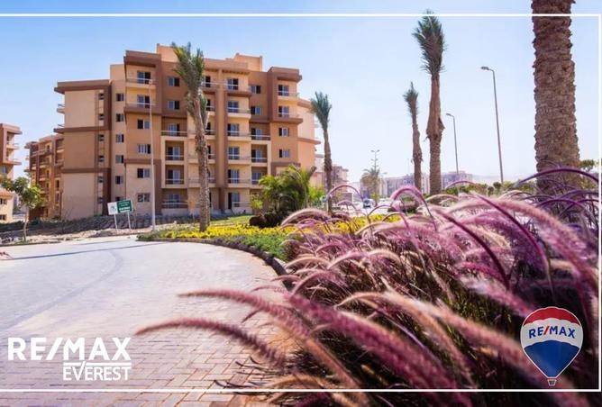 8096879 - صورة العقار 3
