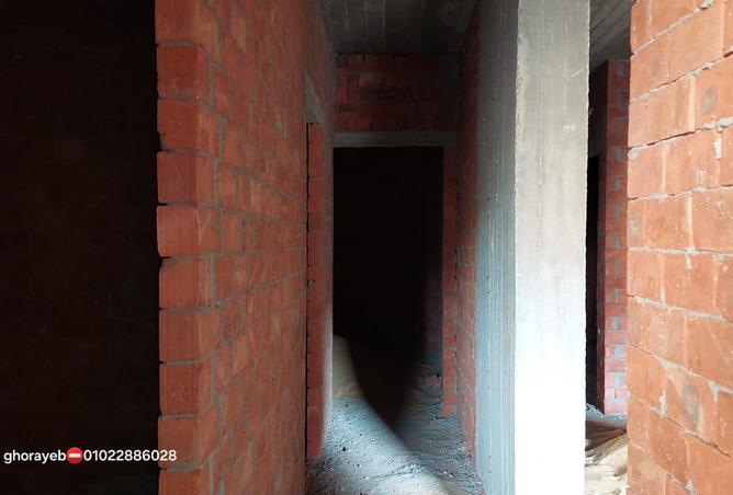 8452941 - Property Image 3